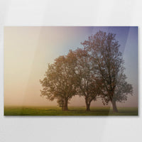 AC-075W050