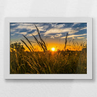 LWW030W020
