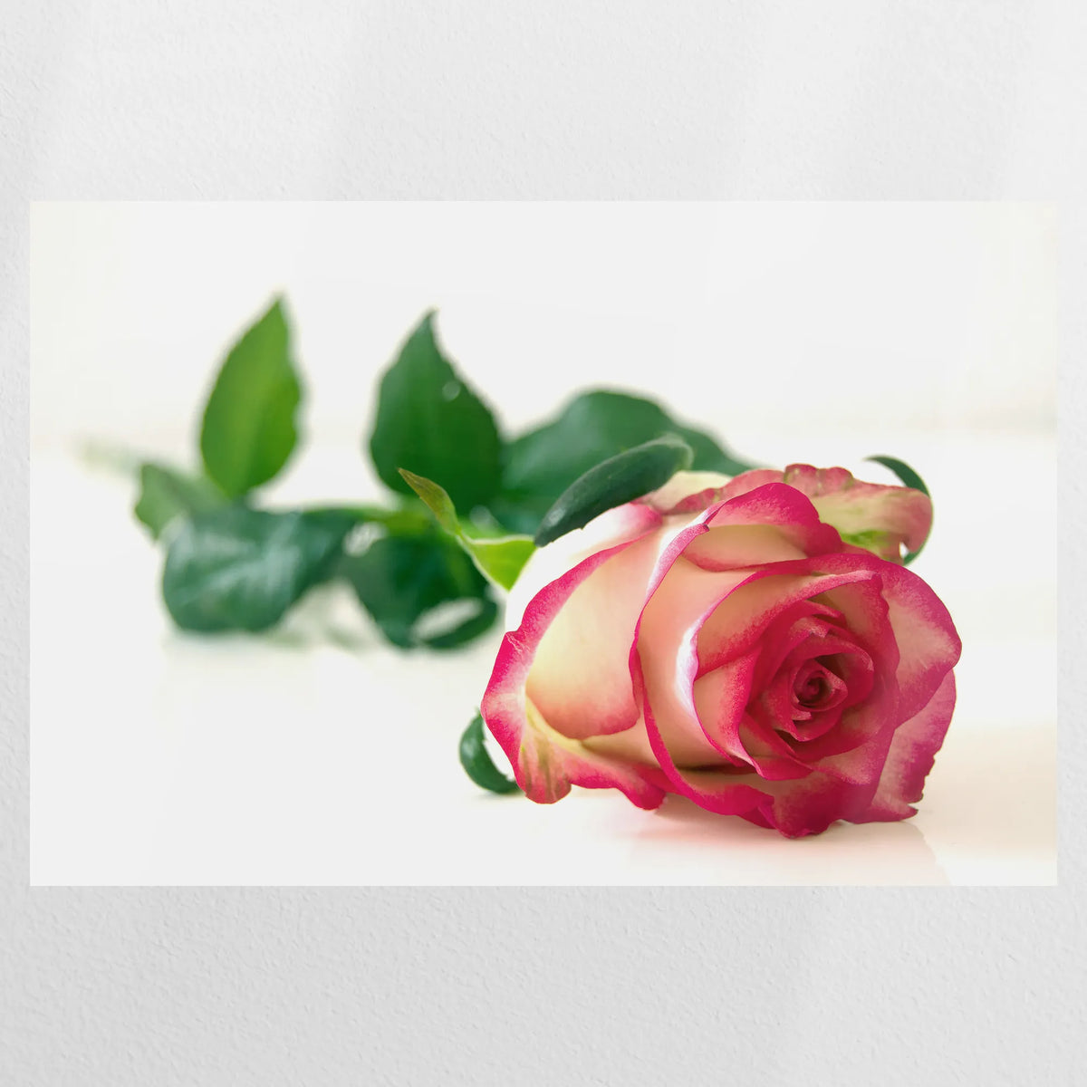 PO-120W080