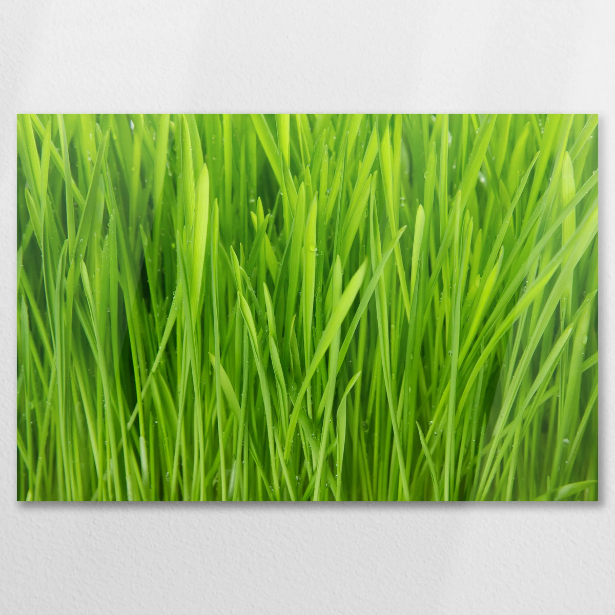 AC-075W050