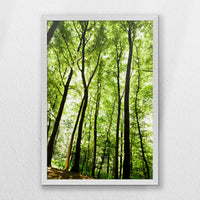 PW-040W060