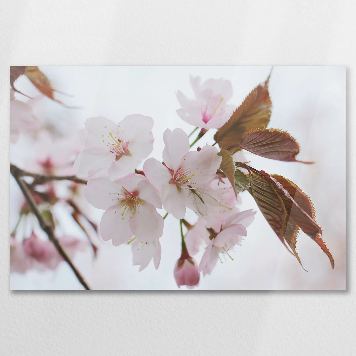AC-090W060