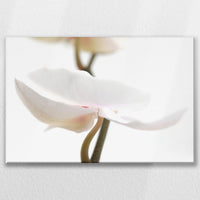LW-075W050