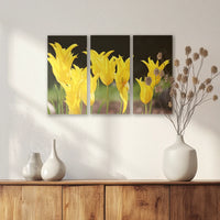 AC-060R040