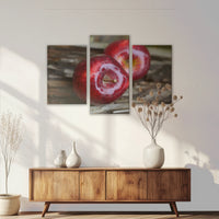 LW-120T080