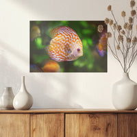 PO-030W020