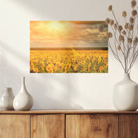 PO-030W020