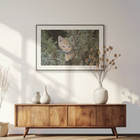 PBP120W080