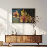 LWW100W070