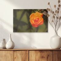 AL-030W020