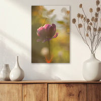 AL-020W030