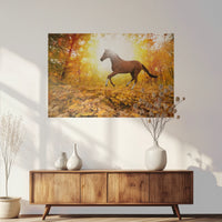 PO-120W080