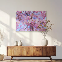 PB-093W062
