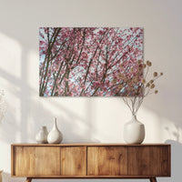 AC-075W050