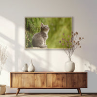 PN-100W070