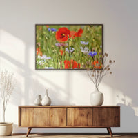 LWN120W080
