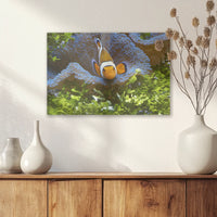 AL-030W020