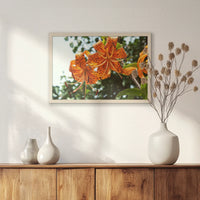 PN-060W040