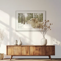 PSP093W062