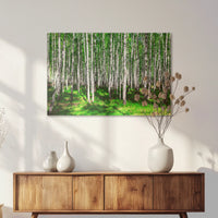 AC-075W050