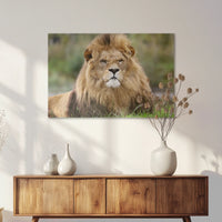AC-075W050