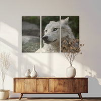 LW-180R120