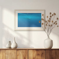 PNP060W040