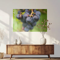 PO-090W060