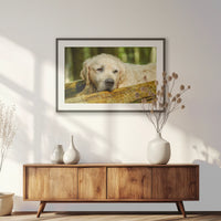 PKP100W070