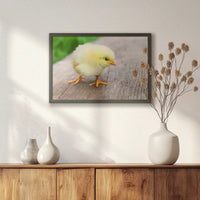 LWB060W040