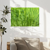 PO-045W030