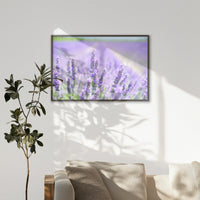 LWN120W080