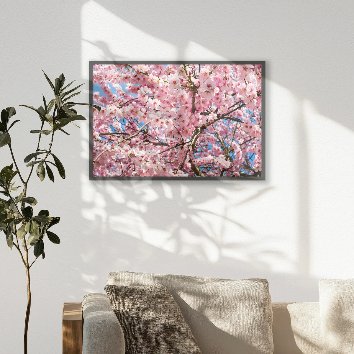 PK-093W062