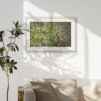 PNP093W062