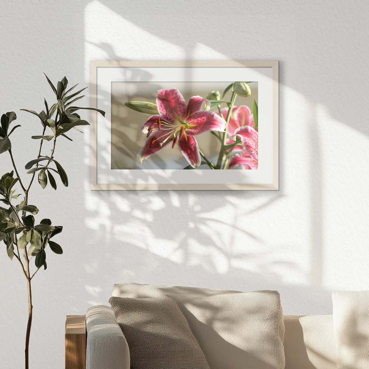 PNP060W040