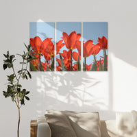 AC-120R080