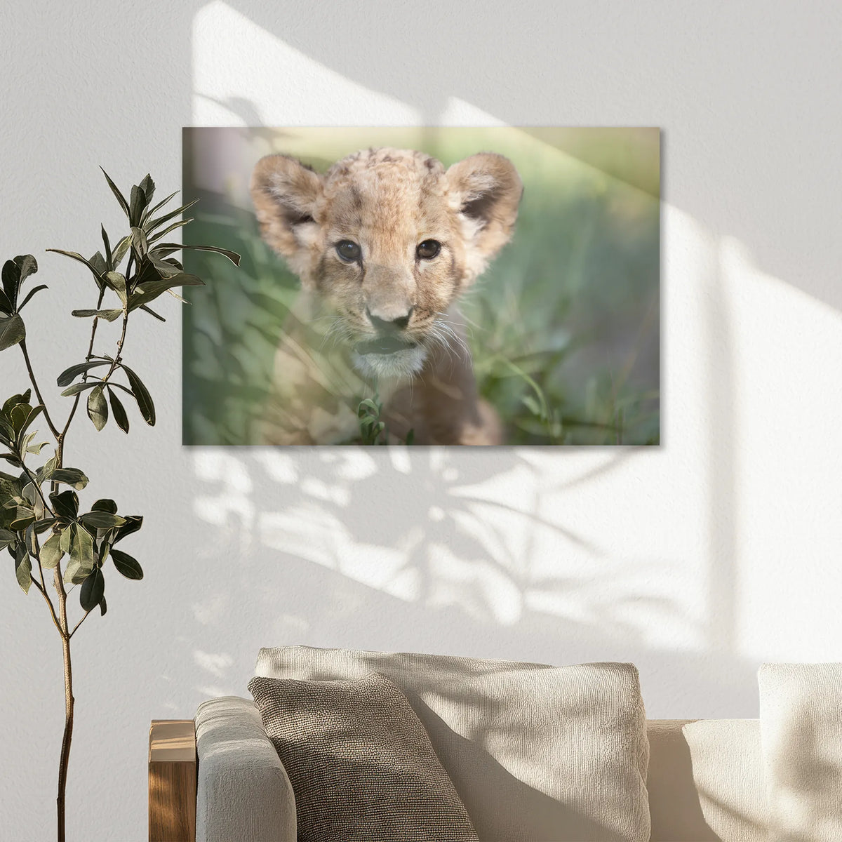 AC-075W050