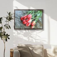 LWN060W040