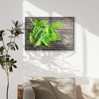 PK-093W062