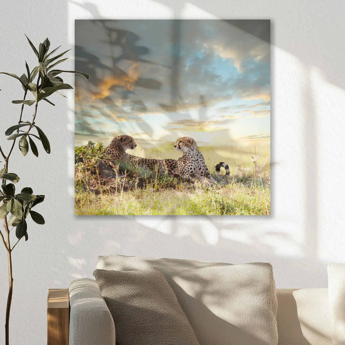 AC-050W050