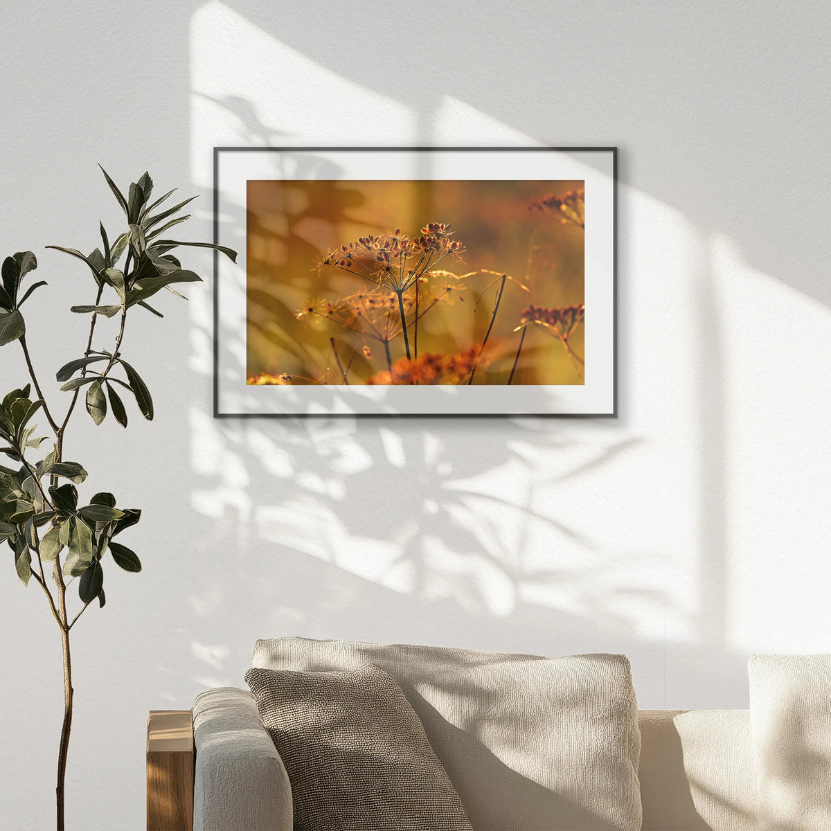 PBP093W062
