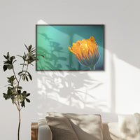 LWN120W080
