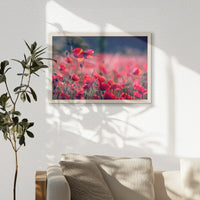 PN-060W040