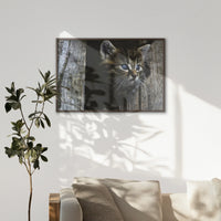 LWN100W070