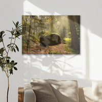 LW-075W050
