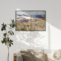 LWN120W080