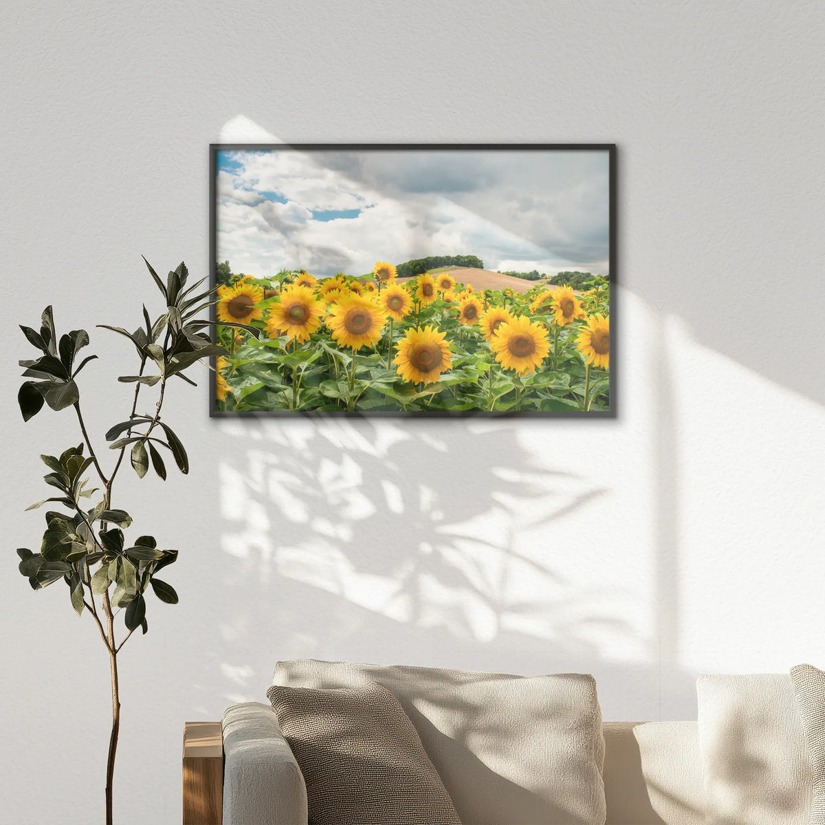 LWB120W080