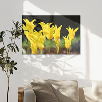 AC-075W050