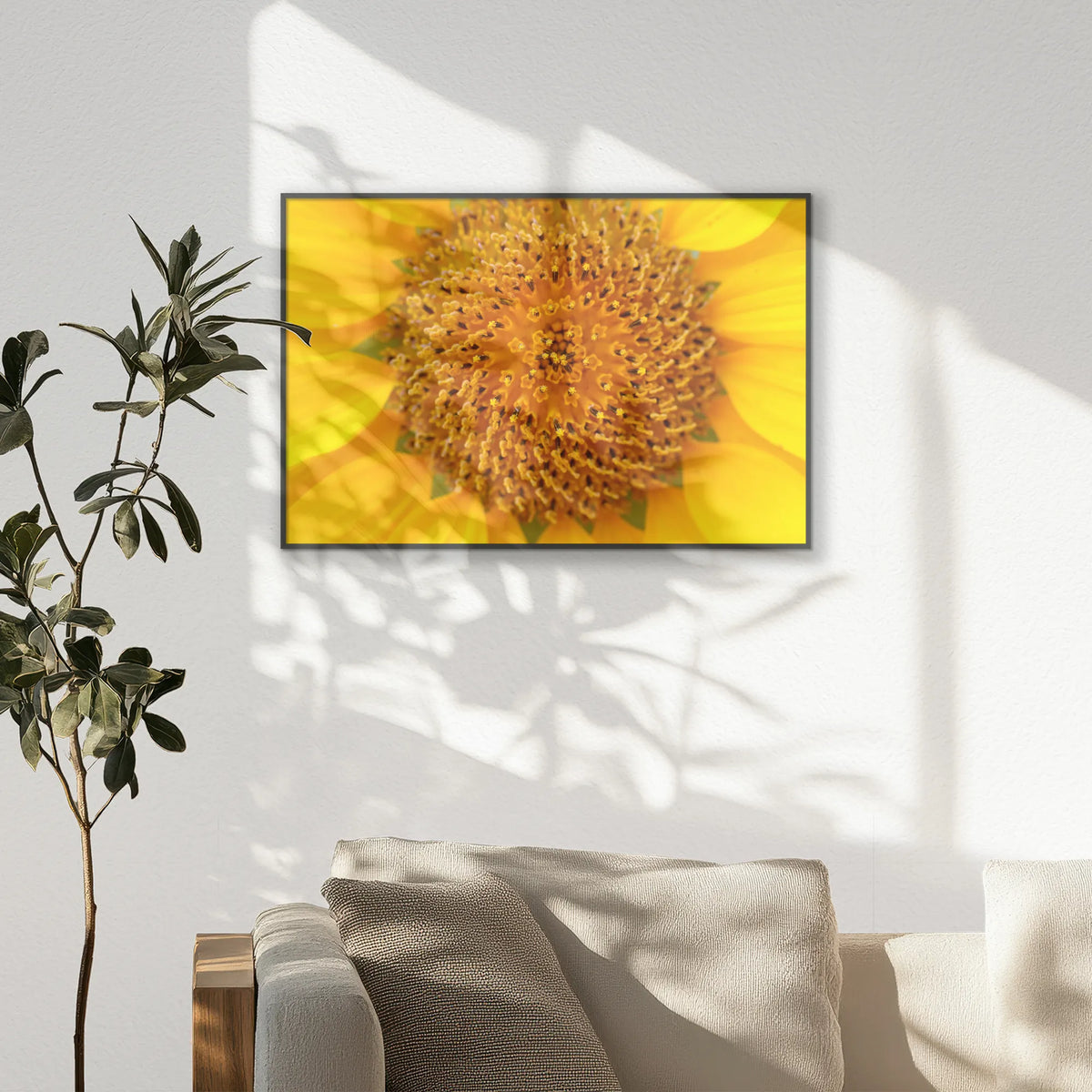 PB-093W062