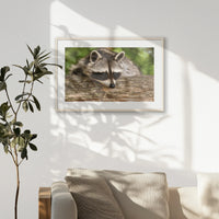 PNP093W062